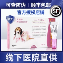 Big favorite in vitro deworming kittens cats dogs in vitro and in vivo in vitro and in vivo anthelmintics Cat drops single