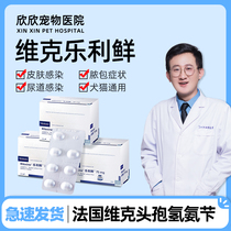 RILEXINE France Wicklely Fresh 75mg Hospital with the same urinary tract anti-inflammatory bacteria ceftrian infected with ammonia