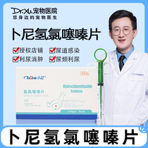 Bu ni diuresis cat hydrochlorothiazide tablets cat diuresis swelling anti-inflammatory hematuria calculi cat with abdominal pulmonary edema