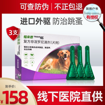 Fulai large dog drops golden retriever 20-40kg