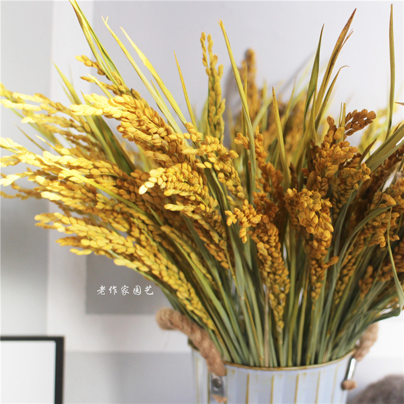 Natural rice ear rice dry flower decoration home decoration balcony desktop living room bedroom restaurant props decoration