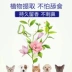 Khử trùng cho chó khử trùng vật nuôi khử trùng cho thú vị - Cat / Dog Beauty & Cleaning Supplies Cat / Dog Beauty & Cleaning Supplies