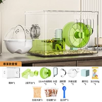 Зеленая прозрачность ｜ Одиночный слой ｜ Наслаждайтесь пакетом