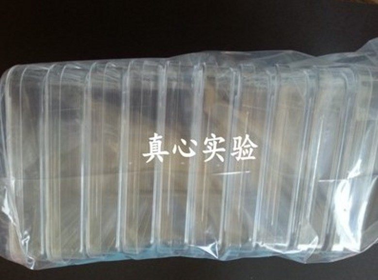 10&times;10cm 100mm*100mm 方形塑料培养皿  环氧灭菌
