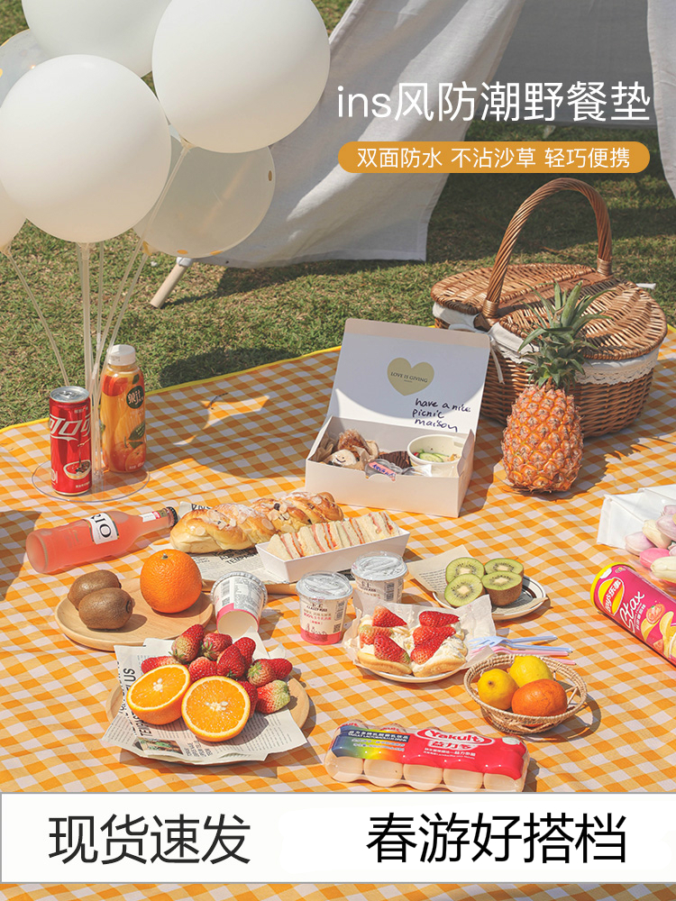 Picnic mat moisture-proof mat outdoor thickened picnic cloth picnic tent camping grass mat portable waterproof ins wind