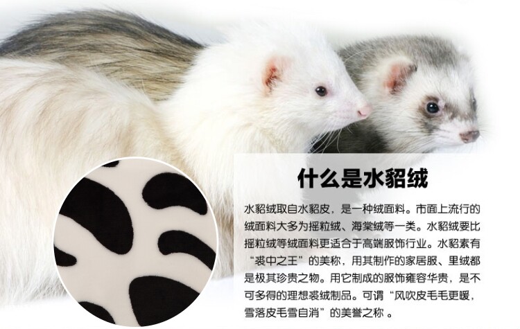 Peignoir jeunesse BISALOVE - Ref 591050 Image 6