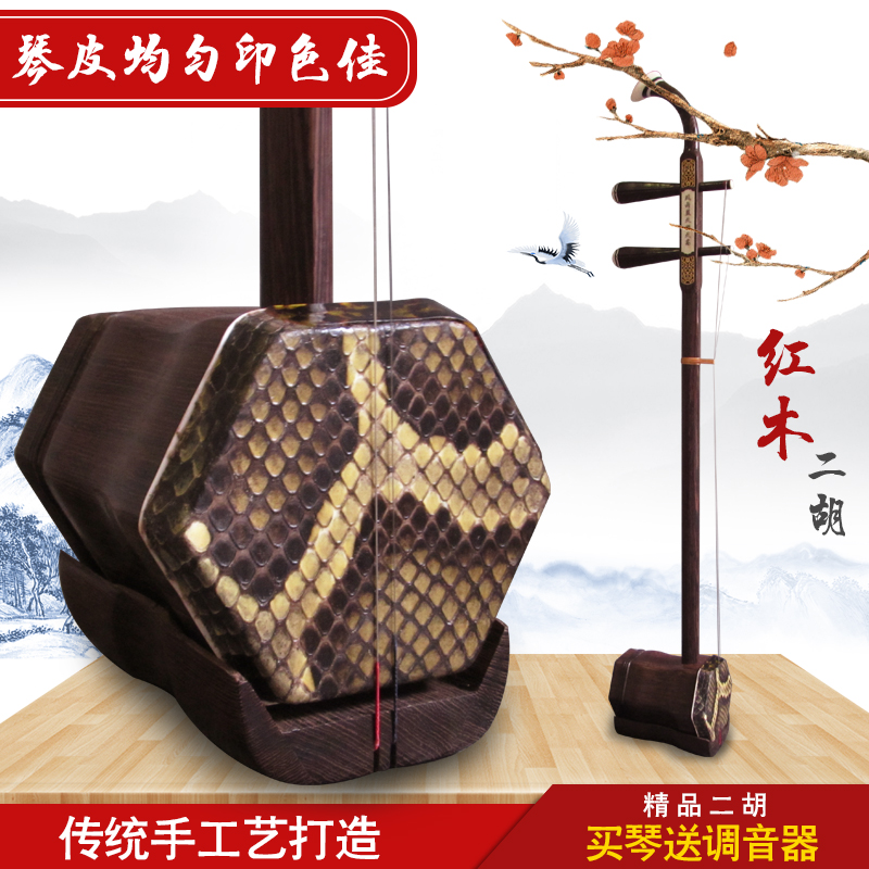 Wave guitar boutique bone carving mahogany Erhu Instrument Professional Performance beginner with high-grade erhu box