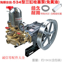 HS Haishun 534 Type Three-Cylinder Plunger Pump 524 Ceramic Butter-Free Power Spray Machine 30 High-pressure Beating Medicine Sprayer