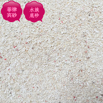 Sea sand coral sand Philippine sand sea sand coral sand shell sand three lakes cichlid sand fish tank landscaping bottom sand one pound
