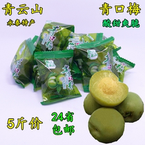 5 Jin price) Fujian Yongtai specialty Qingyunshan Qingkou plum crispy plum plum plum sweet and sour crisp casual snacks