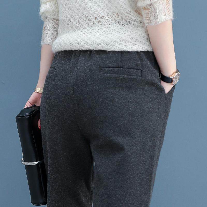 Elasticated waist woolen suit pants women's straight leg loose 2022 new spring and autumn plus velvet high waist thin fashion Harlan pants
