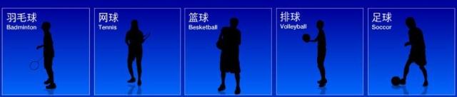 Protection sport - Ref 583412 Image 13