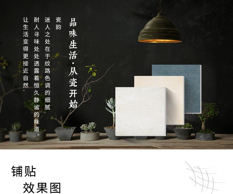 300-300 Новый осенний Sycamore-New Roman Holiday-Xintianhe осенний камень.