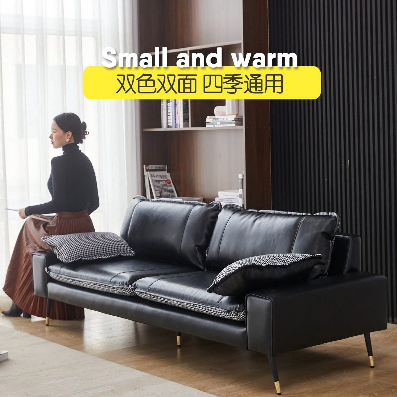 Light Extravagant Tech Cloth Small Family Sofa Apartment Living Room Double Trio Seater small sofa minimalist Leather Sofa-Taobao