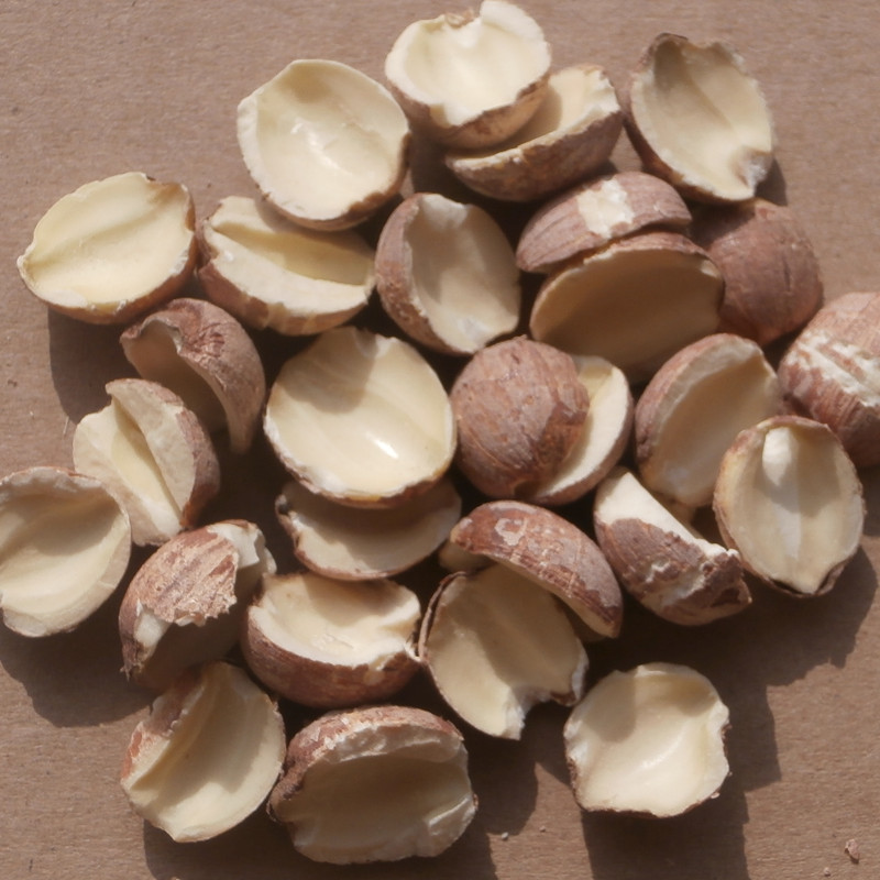 Hunan specialty Hunan lotus seed red lotus seed side lotus seed 500g soybean milk lotus seed big crushed red lotus seed 1kg