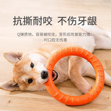 Pet dog toys Bite resistant, grind teeth, relieve boredom, medium and large dog, Chai dog, border collie, Labrador, golden hair