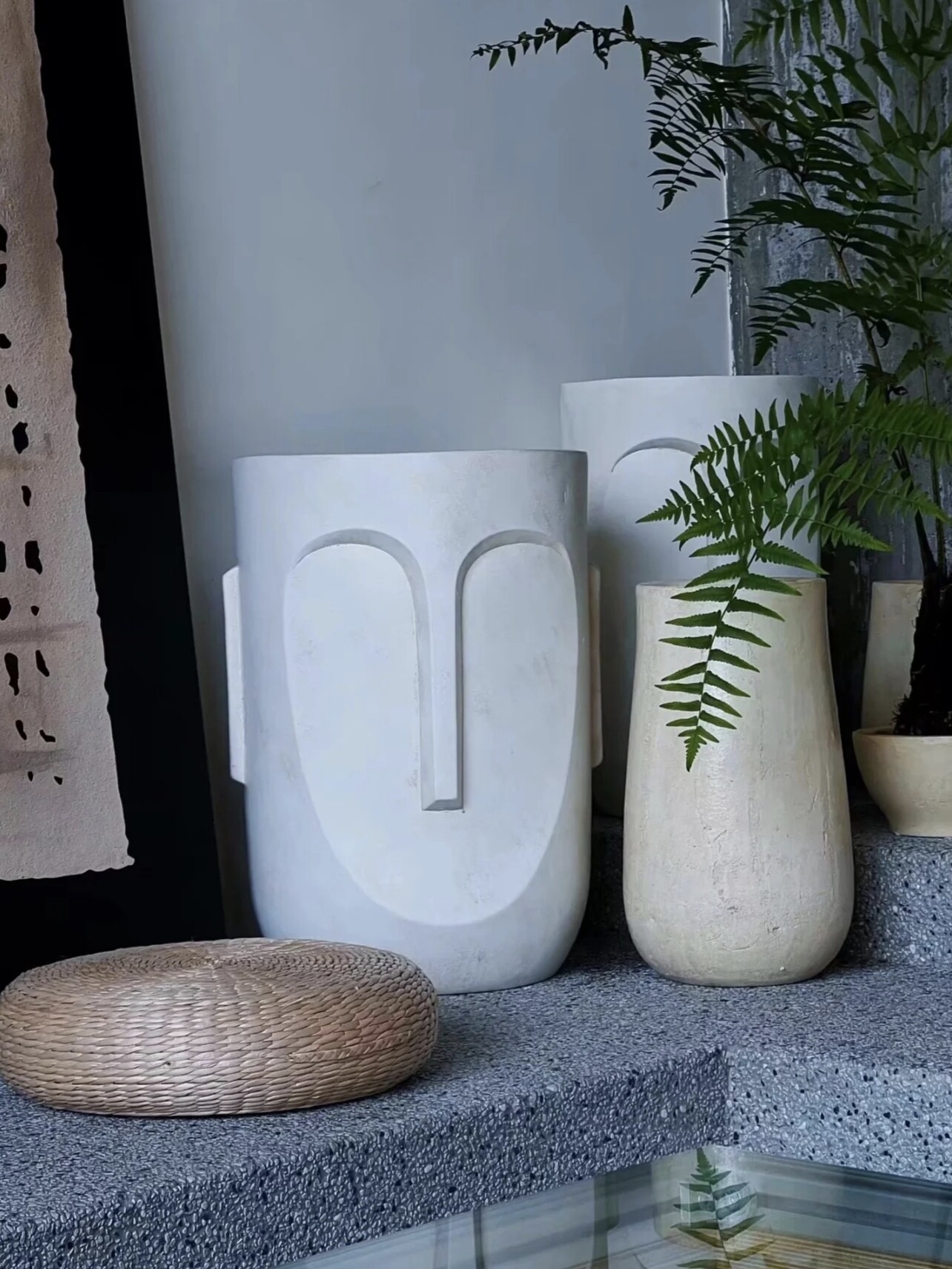 二手白龟