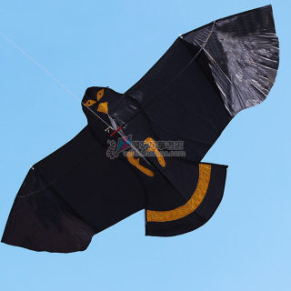 Hot selling breeze easy fly black hawk front eagle kite