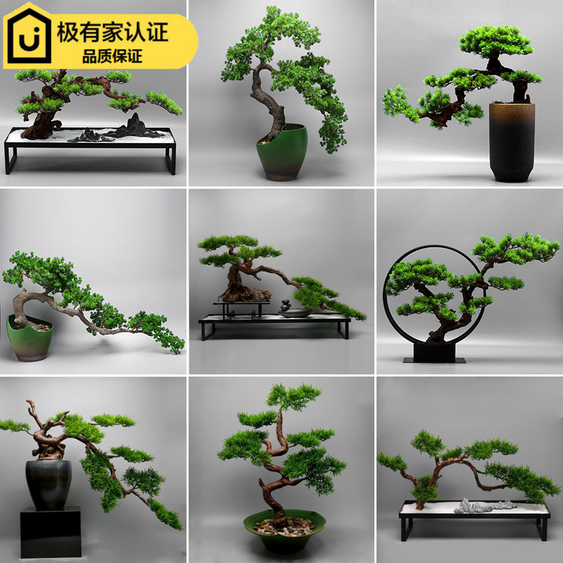 Modern new Chinese style creative simulation welcome pine Arhat pine and Cypress tree bonsai ornaments dead wood landscape micro landscape decoration