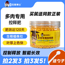 Dr. Huacaos succulent controlled slow-release fertilizer for household potted flowers and plants universal nitrogen phosphorus and potassium nutritional fertilizer