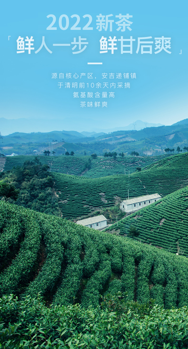 预售 艺福堂 2022新茶 明前特级安吉白茶 100g 图5