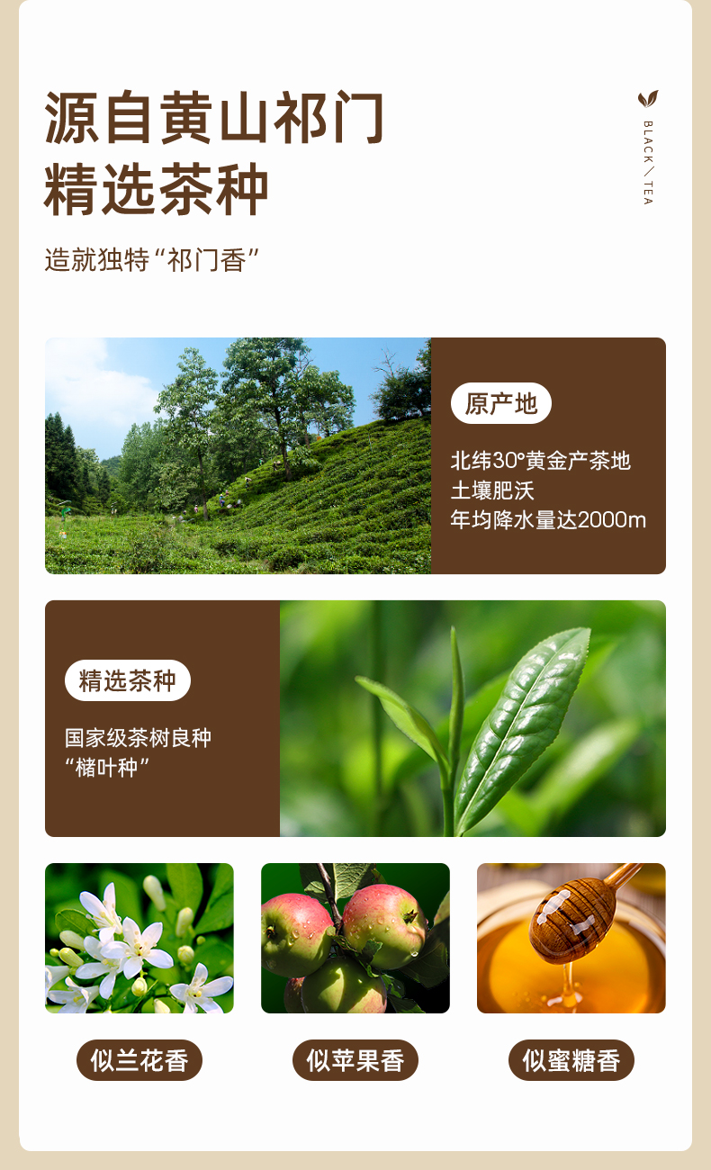 艺福堂 祁门红茶 特级浓香型 250g 图6