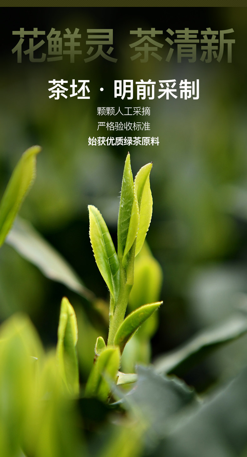 艺福堂 21新茶 茉莉香雪 特级浓香型 250g/罐 图4