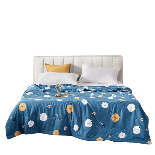 盛宇 Мультяшное летнее тонкое прохладное одеяло для школьников, можно стирать