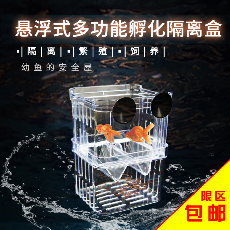 Fish tank isolation box Peacock fish hatching box bucket fish isolation box juvenile breeding and breeding box Fry hatching breeding box