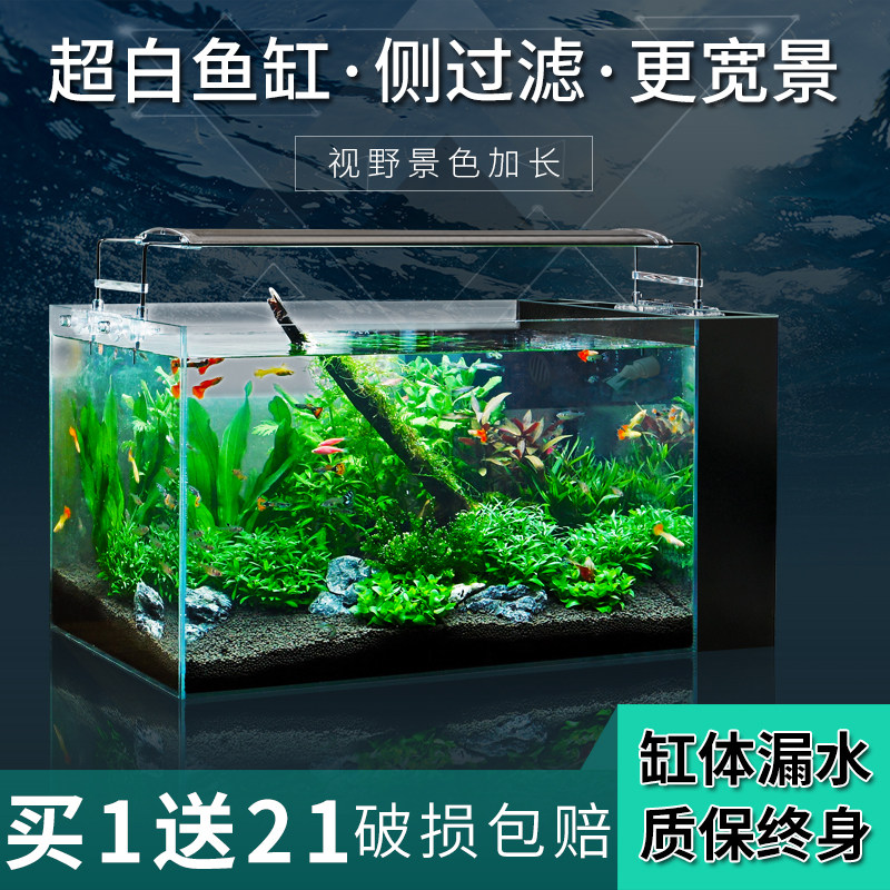 Starfish living room small household turtle tank side filter free water aquarium Land and water decoration goldfish ecological grass tank