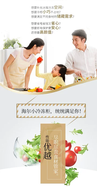 Tủ đông nhỏ Tủ đông Tủ lạnh Tủ lạnh hộ gia đình Tiết kiệm năng lượng Tủ đông mạnh mẽ Haier / Haier BC / BD-102HT - Tủ đông tủ đông cũ chợ tốt