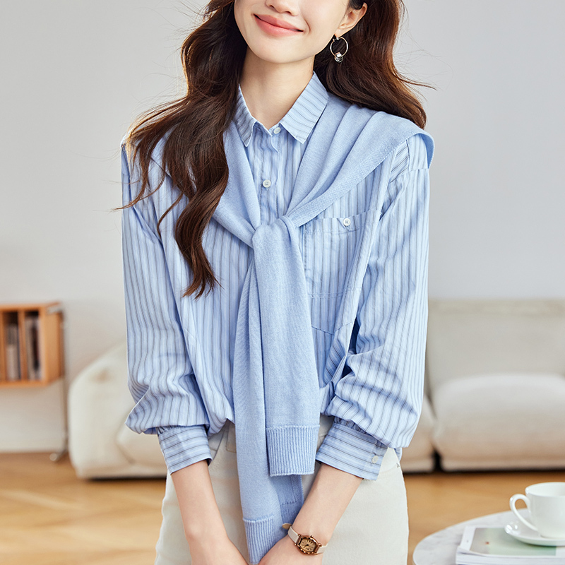 2026 Spring and Autumn New Blue Vertical Striped Shirt Women's Long Sleeve Pure Cotton Shirt Fashionable and Unique Professional Top