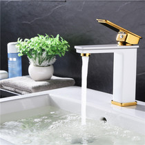 Wenjie black and white basin faucet hot and cold copper bathroom toilet washbasin basin bathroom faucet