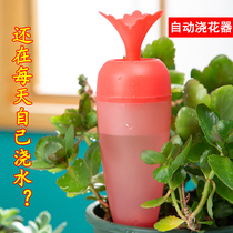 Lazy person automatic watering machine red Tao slow release water seepage drip drip drip machine to go out for home watering the deity