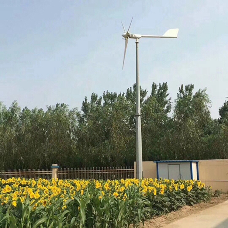 Supply 5KW Wind Generators Home 5000W Small ventilator sets Controller 120v240v off the full set