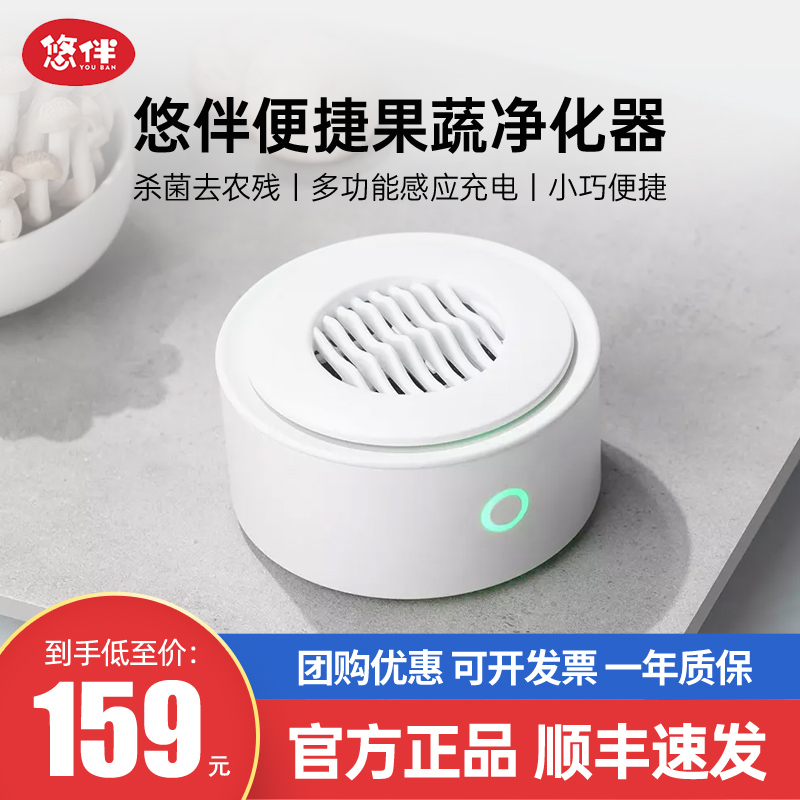 Companion portable fruit and vegetable cleaning machine Home washing machine fruit disinfection machine small germicidal purifier with no agricultural and residual