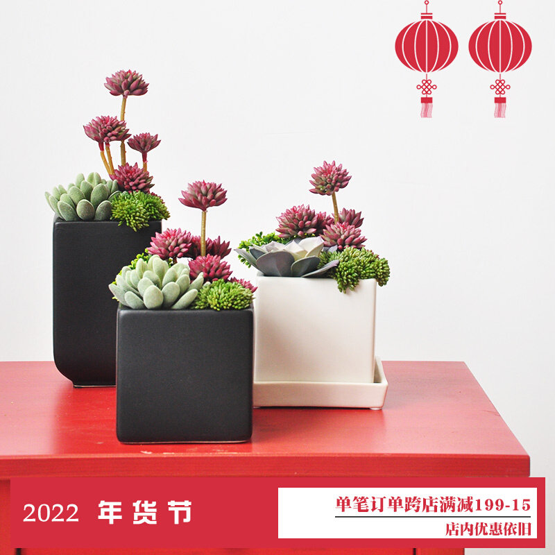 Huanqin single product simulation multi-meat potted ceramic flower pot ornament plant ornaments art085