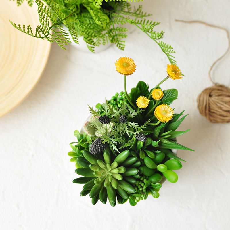 Bergamot Lotus and bear boy aloe simulation succulent plant combination potted table set floral art166