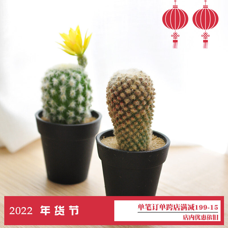 Simulation cactus small potted plants fake succulents hair table ornaments commercial fashion Nordic style art227