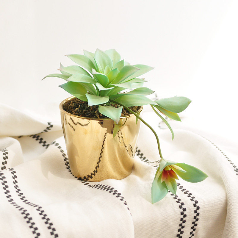 Simulation multi-meat plant potted bonsai golden flower pot home office shop swing piece art266