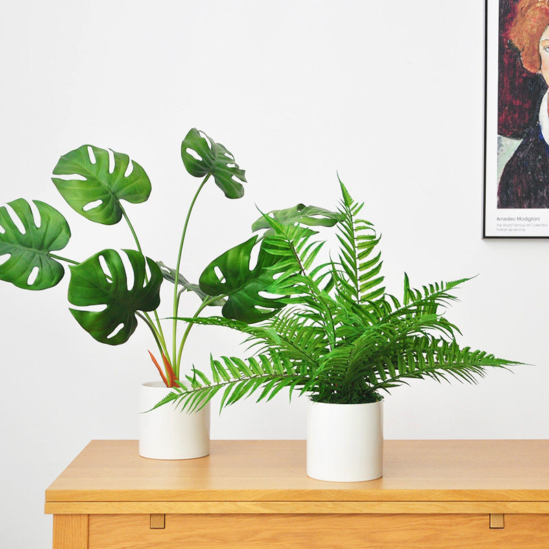 Nine Thoughts Simulation Green Plant ceramic potted biomimetic fake tortoise back leaf fern-type bonsai shop window decoration art275