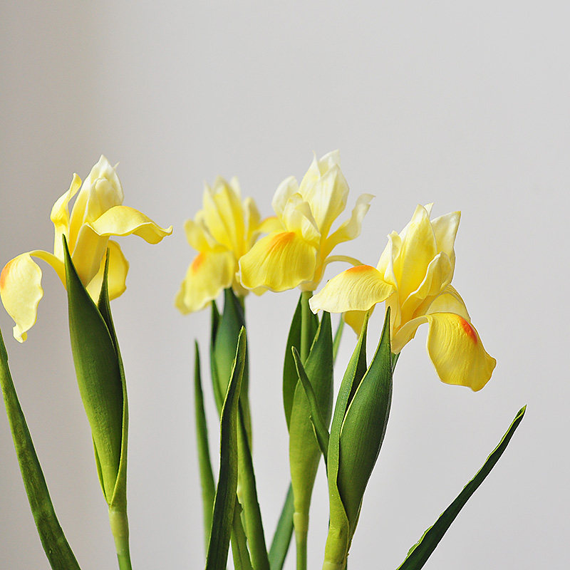 6 Branches PU Feel Iris tail emulation Flower Alice Home Living room Soft-fit floral F591