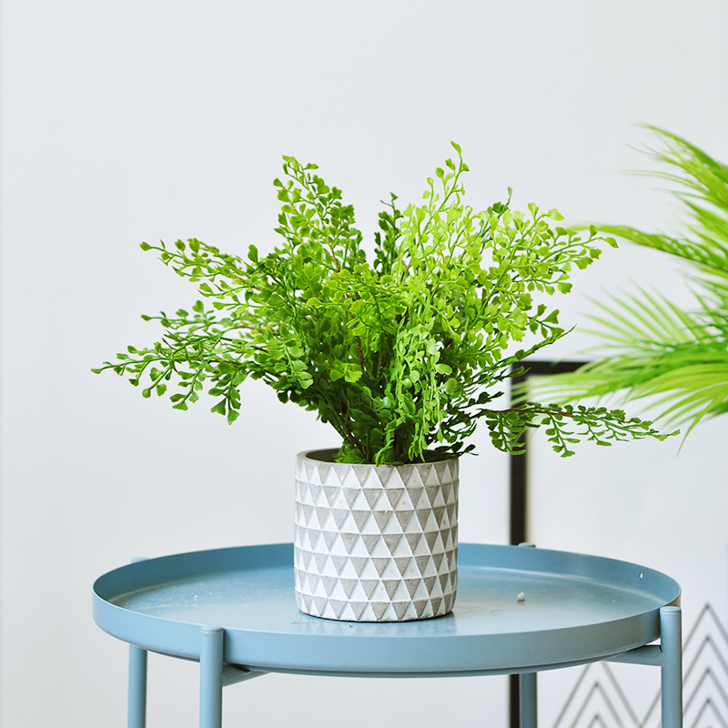 Jiusi simulation green plant cement pot fern decoration commercial office window bionic green decoration art160