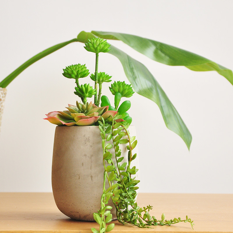  Second City Blue Green Guanyin Lotus And Jade Dew Simulation Multi-Meat Potted Cement Basin art131