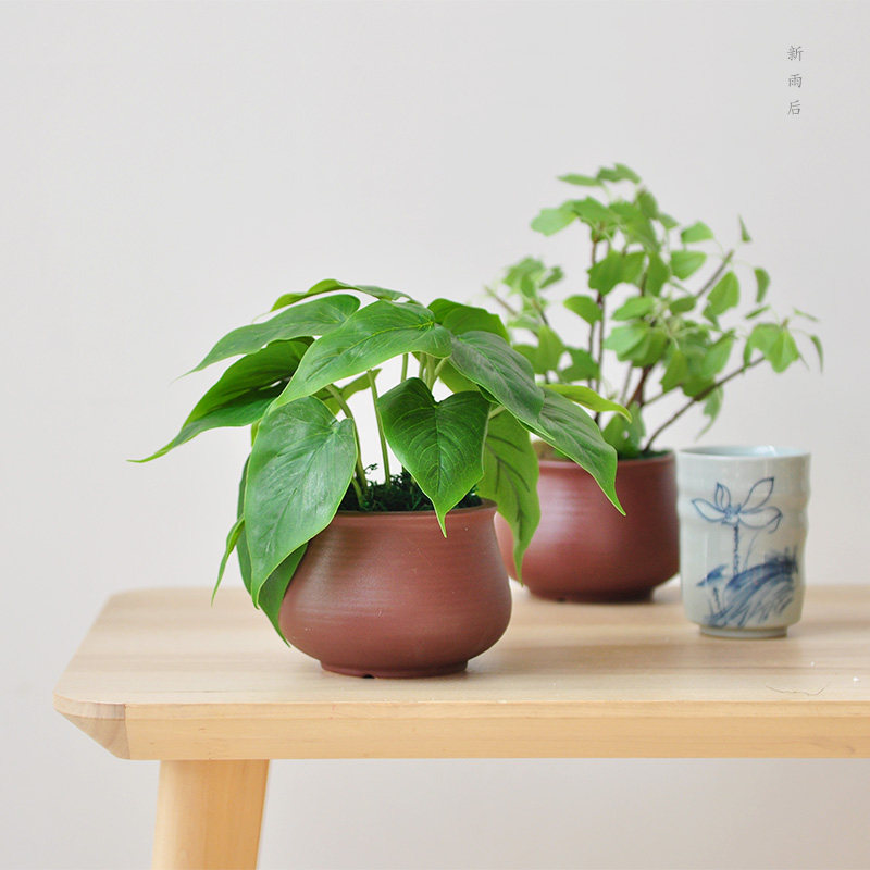 Nine-th simulation plant potted biomimetic gold Ge bonsai small floral shop window bookshelf pendulum ornament art322