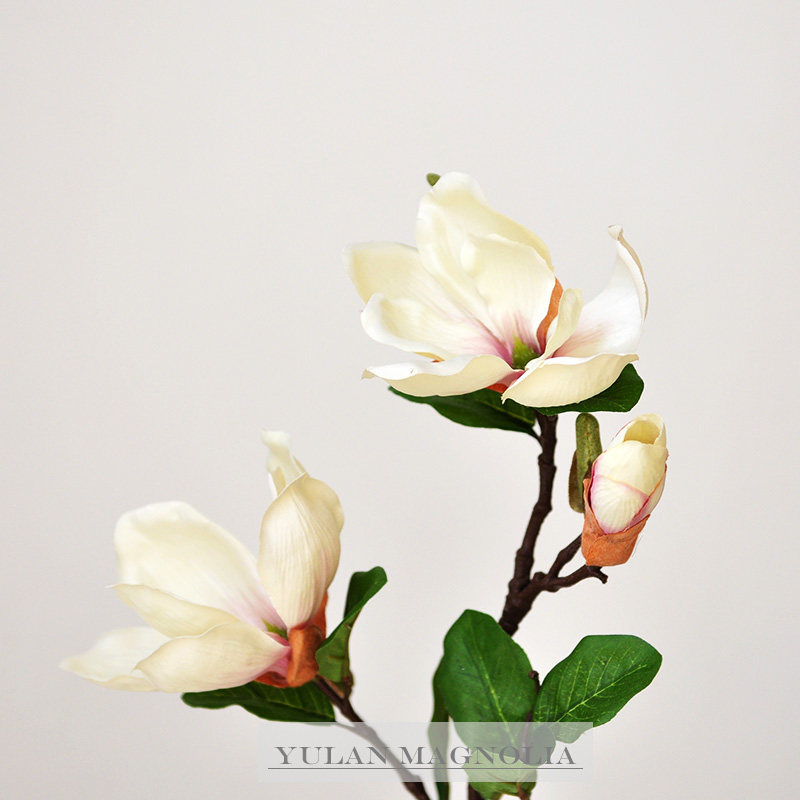 (9 Si) Ming Moon Net emulation Flower Yulin New Chinese meditation Living room Book room Tea Table Wood Lanky Flowers F623