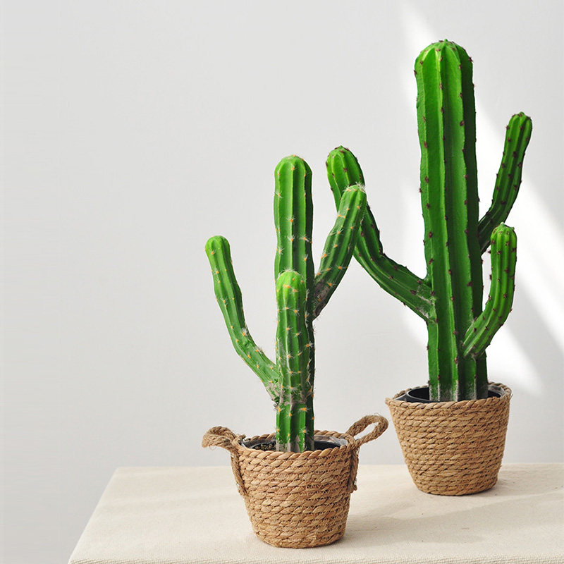 Desert plant table simulation succulent cactus potted fairy column simulation decoration art230