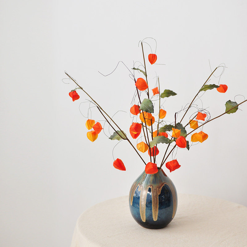 (Nine Thoughts) Line emulation Flower lantern fruit red hanging hand girl fruit Chinese sour berries F627