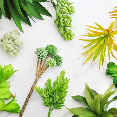 Simulation multi-meat combination small plant home decoration fake multi-meat single potted set interior decoration F594