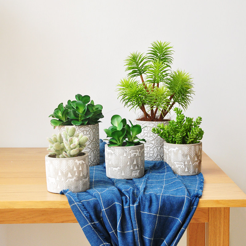 Promotion Emulation Multi Meat Cement Potted Green Plant Table Swing Pieces Office Commercial Decorations art241